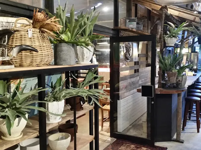 ZUCCHERO(ズッケロ)