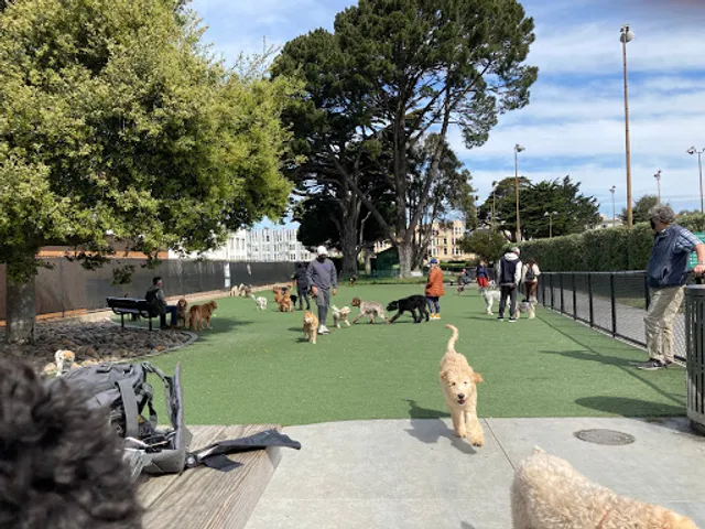 Dog Park | Moscone Park