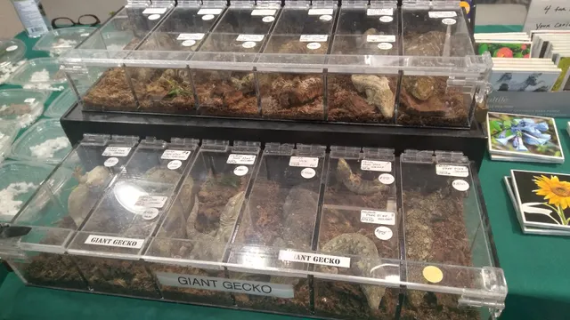 All Ohio Reptile Show - Once a month - Check description/facebook for show dates