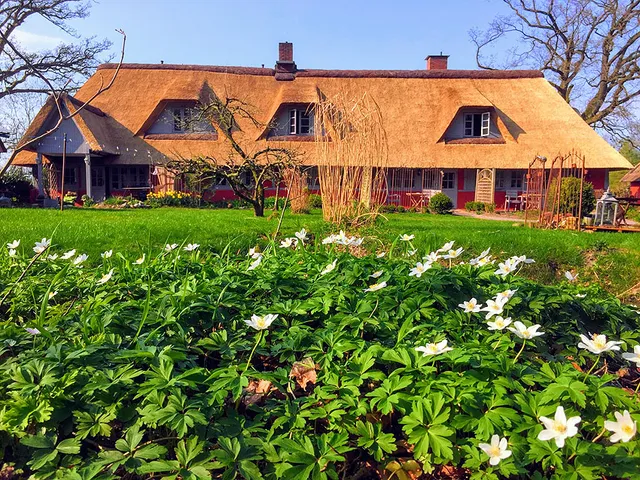 Wohnungen unter Reet