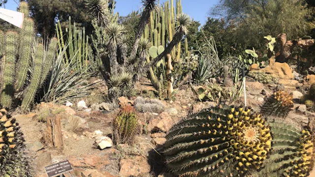 The Deutsch Cactus Garden