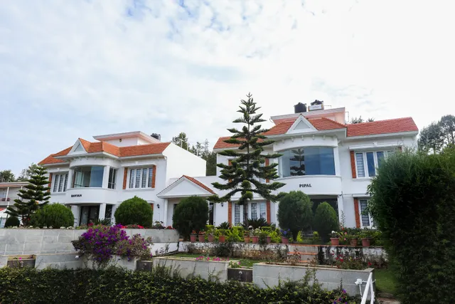 Twin Tree Mountain Resort