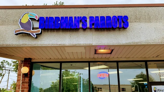 BIRDMAN'S PARROTS