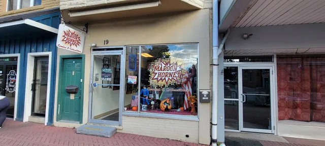 The Maroon Hornet Comics & Collectibles