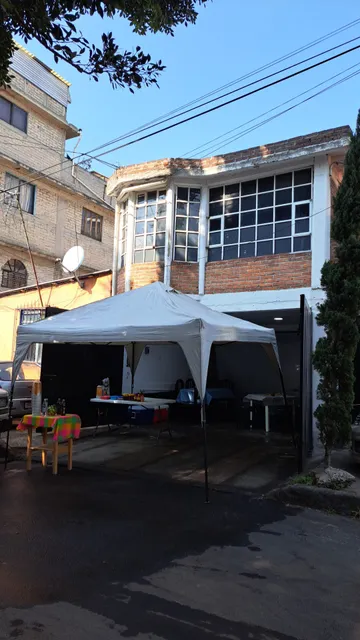 Pancita Las Margaritas