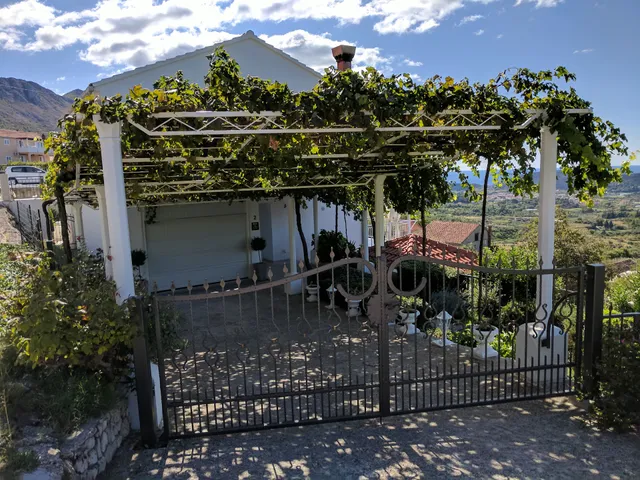 Dalmatian Villa Maria