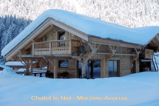 Jean-Christophe RICHARD - Chalet le Nid location de vacances à Morzine-Avoriaz