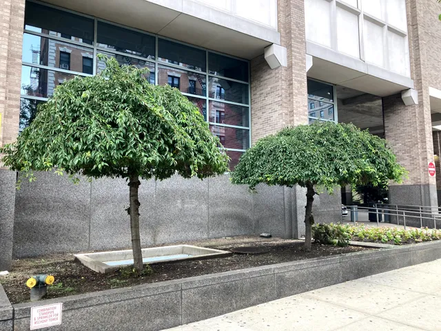 NewYork-Presbyterian