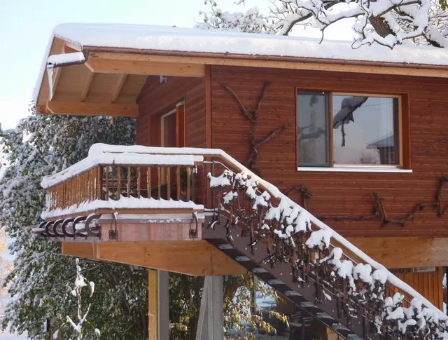 Swissfarm Wurzelbaumhaus