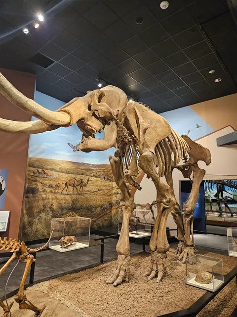 Helen DeVitt Jones Sculpture Court and Event Center