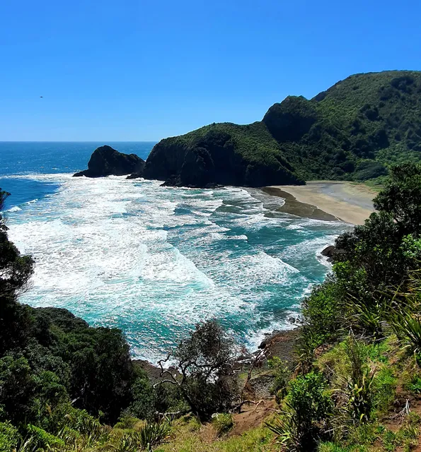 Rose Track Traillhead and parking