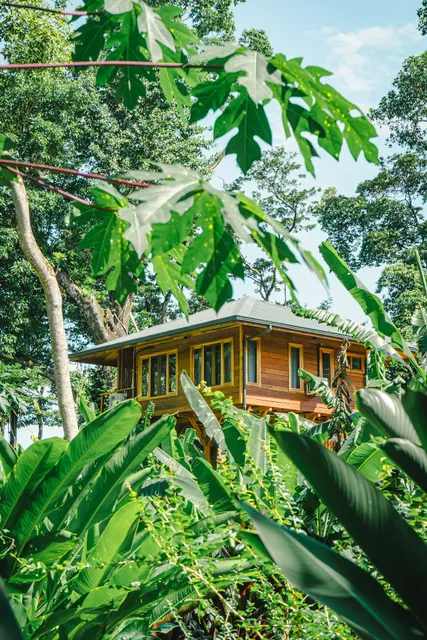 Carenero Hills - Beach & Surf Bungalows