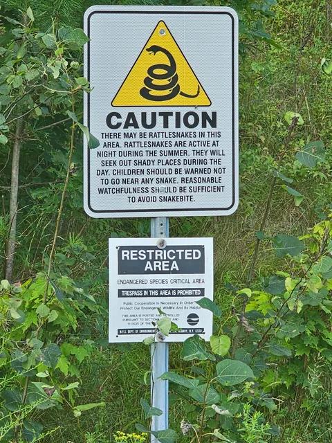 Parking Area (Westbound)