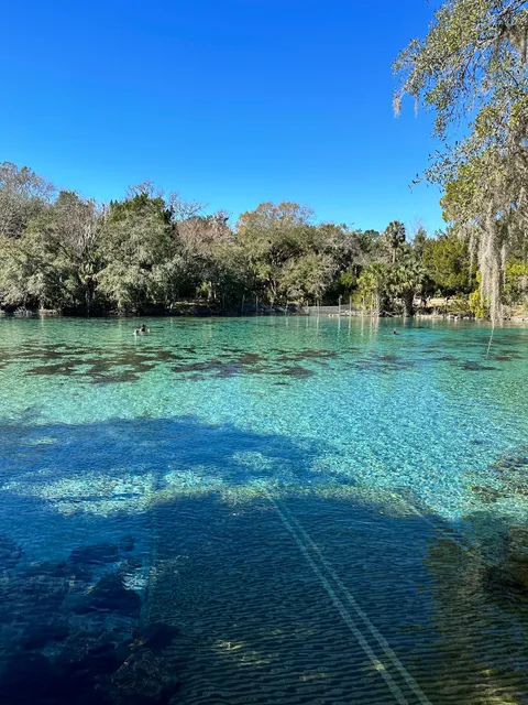 Ocala National Forest