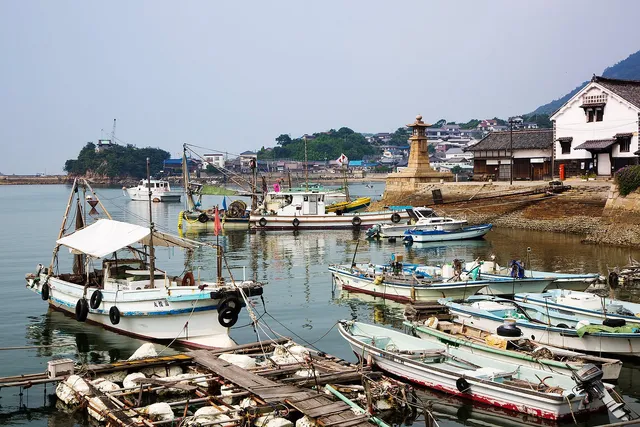 Migiwatei Ochi Kochi