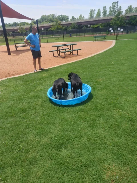 Rose West Dog Park