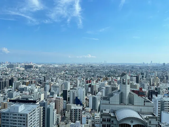 Kawasaki City Hall Observation Deck