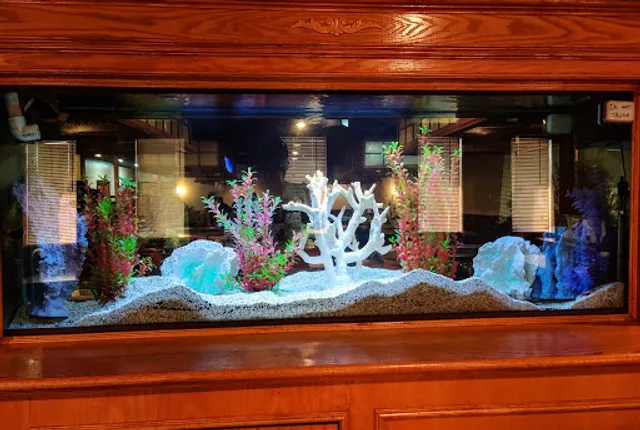 Hibachi Japanese Steak House