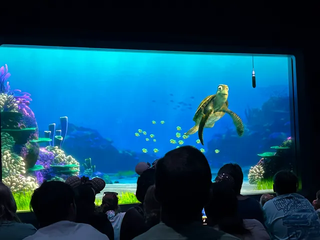 Turtle Talk With Crush