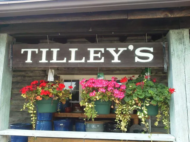 Tilley's Nursey