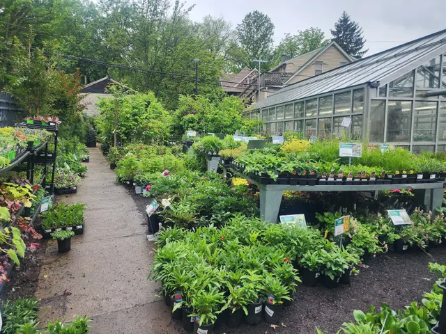 Green Fields Nursery & Landscaping Company