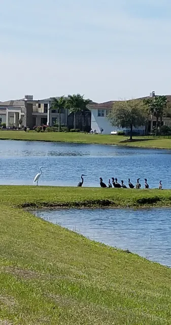Laureate Park Community Garden