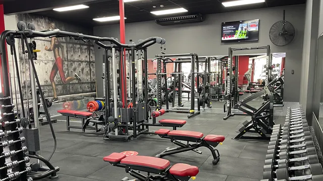 Snap Fitness 24/7 New Plymouth