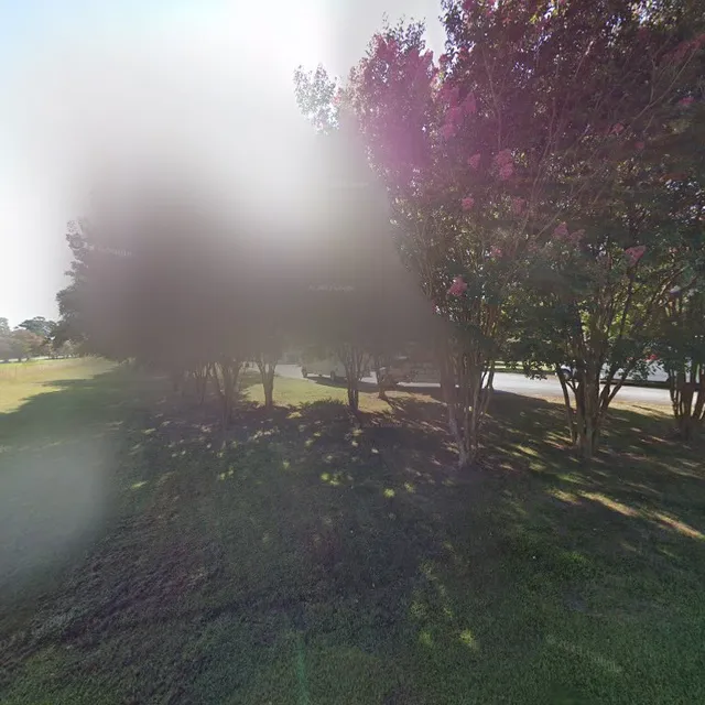 Salty Carts Cape Charles