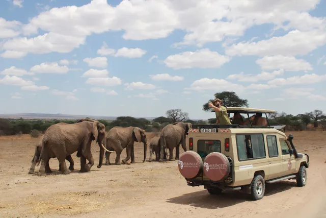 Serengeti African Tours