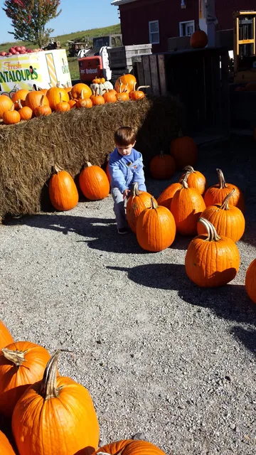 Miller's Orchards Farm Market