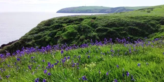 Castlemoor Holiday Cottage
