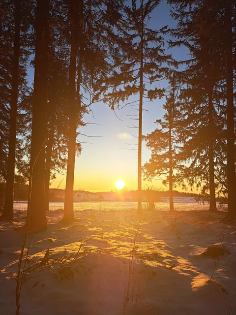 Ferienwohnungen Schallerhof - Udo Neukam