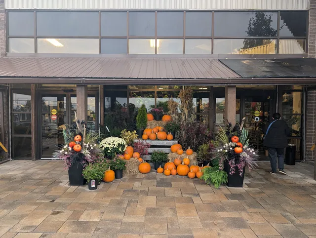 Paradis Jardin & Accessoires