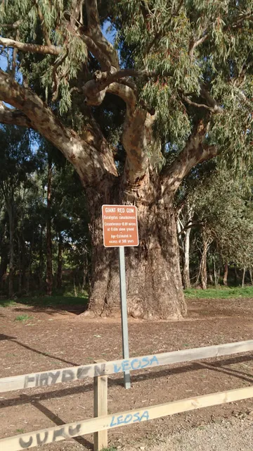 Black Jack Get-A-Way