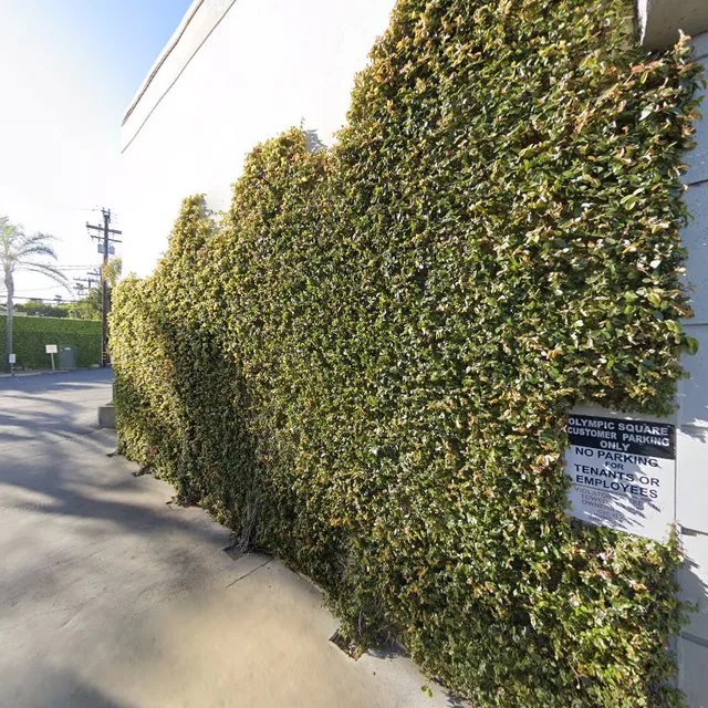 Nourish: Birth + Postpartum