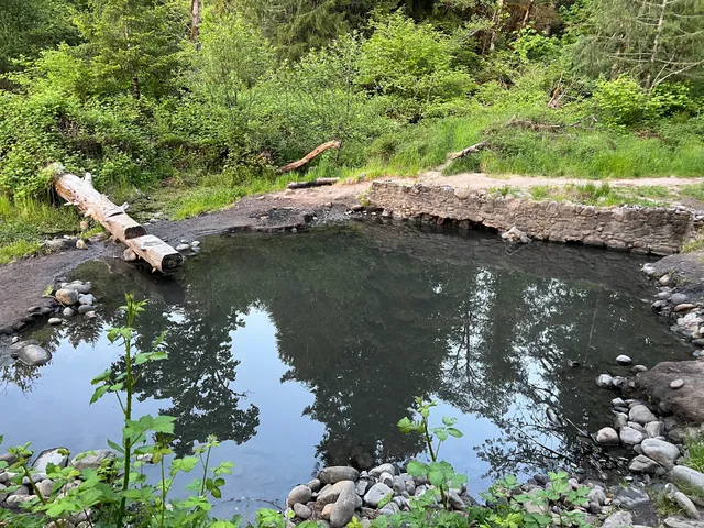 McCredie Hot Springs