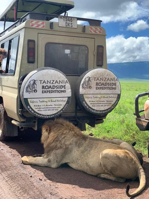 Tanzania Roadside Expeditions LTD