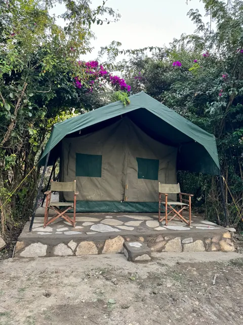 Best Camping Masai Mara