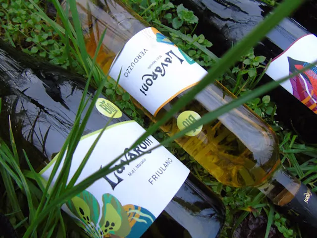 CASCINA LAVARONI -Vino-Alloggio-Ristoro-