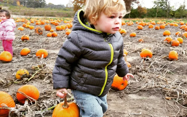 Cody's Farm & Orchard, LLC