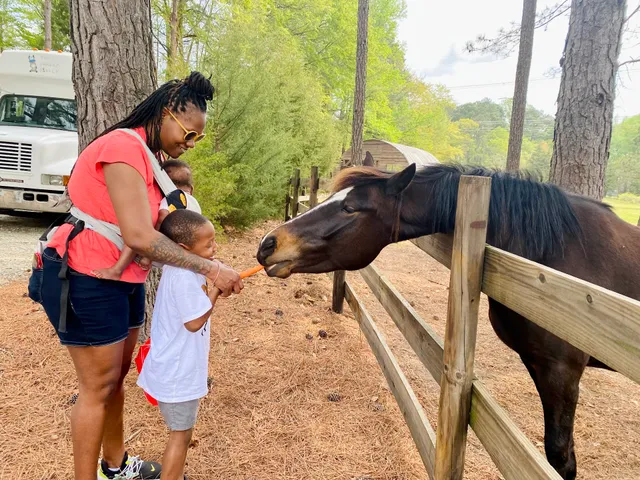 Marie Farms - By appointment only - Team Building Activites, Birthday Parties, and Weddings