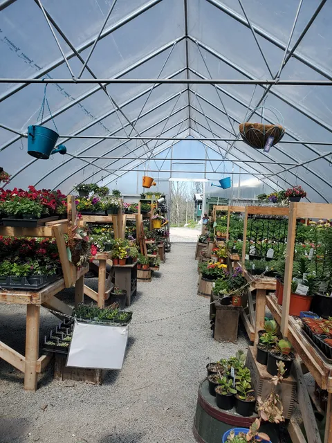 Nature’s Creations Pool, Spa and Landscape Supply