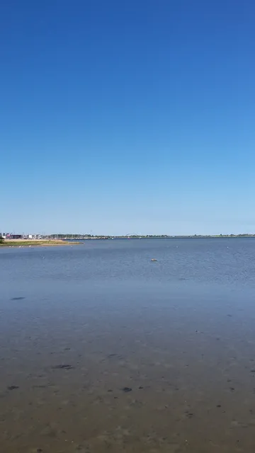 Ferienhaus Möweninsel