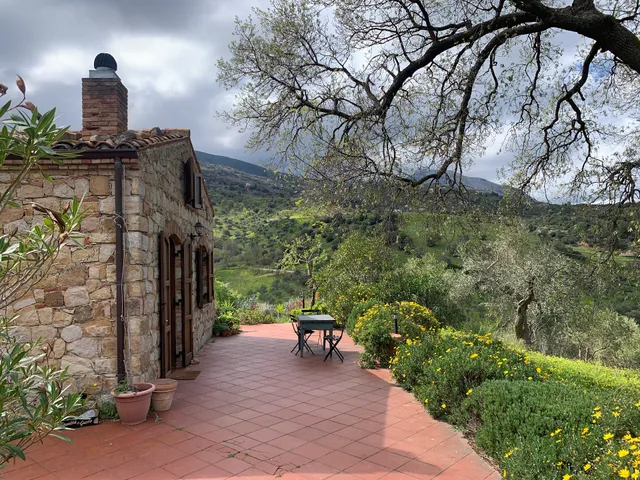 Always Paradise by Marion