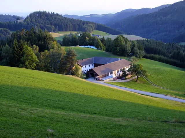 Baby- und Kinderbauernhof Pointner Aschauer