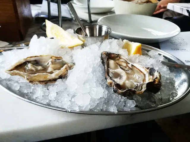 Shell, Yes seafood bar