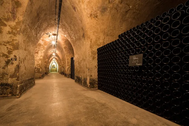 Champagne Palmer & Co