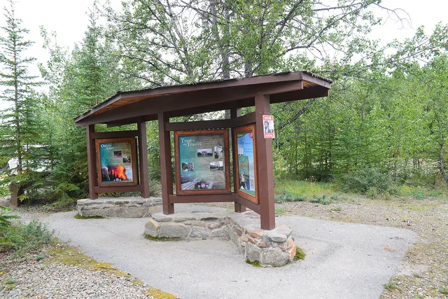 Tok River State Campground