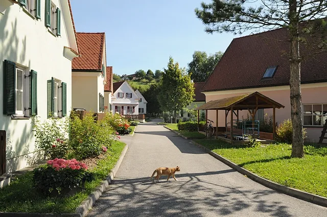 Wilfinger Thermal Biodorf