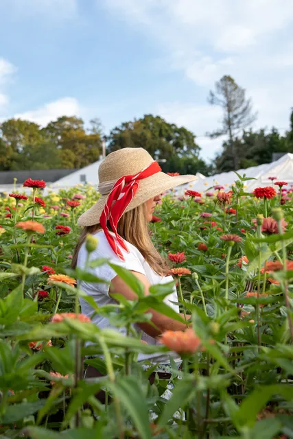 Honeybee Grove Flower Farm